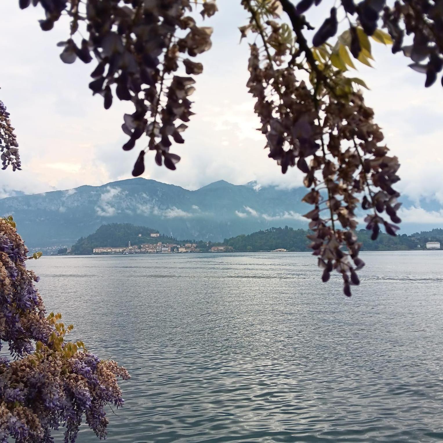 La Casa Al Lago Bmor Love&Lake Mezzegra Buitenkant foto